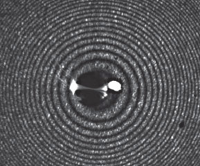 Типичная голограмма взрывающегося шарика субмикронных размеров. Обработав ее, можно получить как распределение яркости, так и фазовую картину. Изображение из обсуждаемой статьи