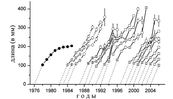 На графике видно, насколько увеличилась скорость роста в когортах гольца (сеголетки и годовики на графике не показаны) по сравнению с «доэкспериментальным» 1976 годом. Рис. из обсуждаемой статьи в Science