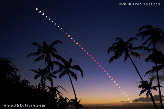 Примерно таким было затмение во время экспедиции Христофора Колумба. Комбинированный снимок показывает весь ход полного лунного затмения 16 июля 2000 года. (Lahaina, Maui) Nikon 8008, Nikkor 35mm f/5.6, Kodak Royal Gold 100: 1/125 to 1/8 on (partial phases), 4 seconds (totality). Fred Espenak