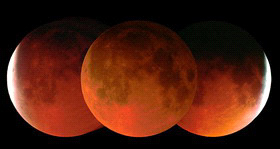 Полное лунное затмение 6 июля 1982 года имело красноватый оттенок (Chesapeake Bay, MD). Celestron 8 + Nikon F2: Kodachrome 64, f/10, 1/60. Fred Espenak