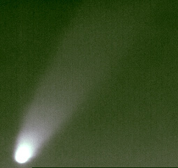 Комета McNaught (C/2006 P1) 5 января 2007 года. Фото: Александра Иванова (обработка в «Регистакс» и «Фотошоп»)