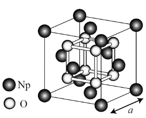 Диоксид нептуния NpO2  при относительно простой кристаллической решетке обладает чрезвычайно  необычными электронными и магнитными свойствами (изображение из статьи  cond-mat/0505548)