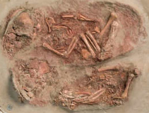 Палеолитическое  захоронение новорожденных близнецов в Кремс-Вахтберге, восточная  Австрия. Фото из цитируемой статьи в Nature