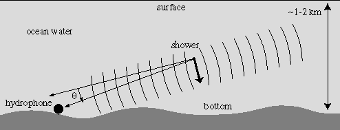 Высокоэнергетическое нейтрино может вызвать мощный электромагнитный ливень в толще океана, акустический щелчок от которого зарегистрируют гидрофоны (изображение с сайта saund.stanford.edu)