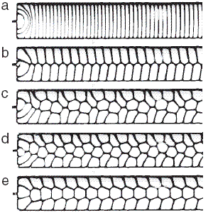 Пять типов периодических узоров двумерной пены, наблюдавшихся в описываемых экспериментах (изображение из статьи Phys. Rev. Lett., 97, 024503)