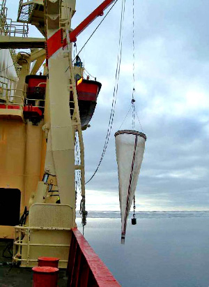 Планктонная сеть — традиционное орудие лова планктона (фото с сайта www.esf.edu)