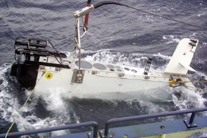 А это «видео-планктон-рекордер» — видеокамера, опускаемая под воду для непосредственного учета планктона, оказавшегося перед ее объективом. Прибор разработан в Океанографическом институте в Вудс-Хоуле. Фото с сайта zooplankton.lsu.edu