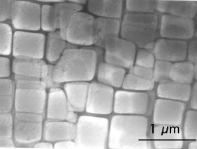 Суперсплавы представляют собой плотно упакованные кубики микрокристаллов в неупорядоченном сплаве (изображение с сайта www.msm.cam.ac.uk)