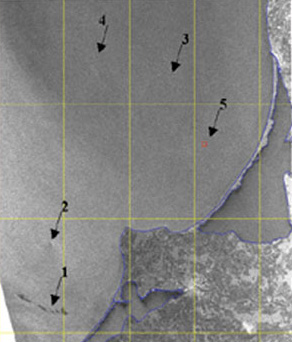 Снимок юго-восточной части Балтийского моря со спутника ASAR ENVISAT, сделанный 30 июля 2004 года. Стрелкой 1 показано большое нефтяное пятно (в форме цепочки из пяти пятен) длиной 26 км в Гданьском заливе (фото с сайта www.scielo.cl)