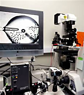Оборудование лаборатории У Сук Хвана (фото с сайта wikipedia.org)