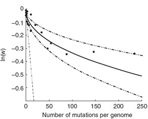 Снижение жизнеспособности (вертикальная ось) по мере роста числа мутаций сначала идет быстро, а потом замедляется (черные точки). Наклонный пунктирный отрезок показывает, каким было бы снижение жизнеспособности без эффекта «взаимной нейтрализации» (рис. из статьи в Nature Genetics)