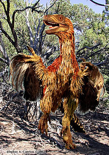 Пернатый дейноних (deinonychus). Изображение с сайта www.dinosaur-museum.org