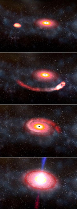 На этой серии рисунков видно, как черная дыра пожирает нейтронную звезду. «Застолье» завершается мощным коротким гамма-всплеском (изображение с сайта www.nasa.gov)