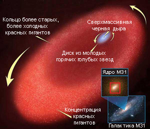       ,    ,     .   ,   ,   ,     (   www.newscientistspace.com)