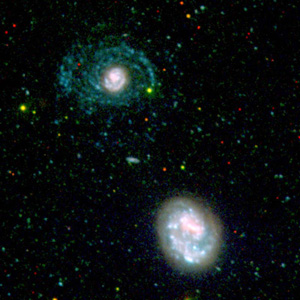 Галактика NGC 4625 (сверху) и ее «безрукая» соседка NGC 4618 (снизу). Изображение составлено из двух снимков — в ультрафиолетовом (более близкий свет — зеленого цвета, более далекий — синего) и видимом (красный цвет) оптическом диапазоне (фото с сайта www.jpl.nasa.gov)