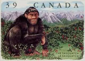 Клок шерсти канадского «снежного человека», скорее всего, принадлежит какому-то из хорошо известных млекопитающих (изображение с сайта www.occultopedia.com)