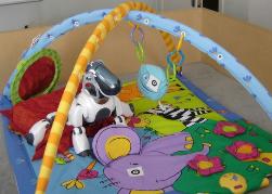 Любопытный робот Aibo в детском манеже (фото с сайта www.newscientist.com)