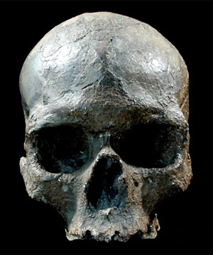 Череп раннего человека, найденный в пещере Младеч в Южной Моравии (ныне Чехия). Фото с сайта www.uwyo.edu