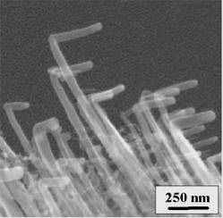 Джозефу Обюшону удалось найти способ придания нанотрубкам L-образной формы (фото с сайта www.physorg.com)