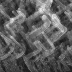 Нанотрубки, толщина которых не превышает 1,2 нм, можно использовать в качестве переключателей в микропроцессорах (фото с сайта www.physorg.com)